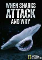 Watch When Sharks Attack... And Why Viooz