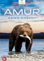 Watch Amur Asia's Amazon Viooz