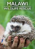 Watch Malawi Wildlife Rescue Viooz