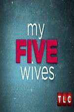 Watch My Five Wives Viooz