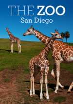 Watch The Zoo: San Diego Viooz