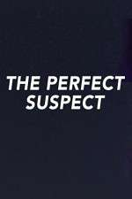 Watch The Perfect Suspect Viooz