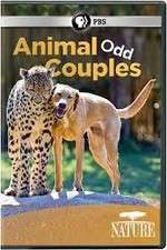 Watch Animal Odd Couples Viooz
