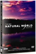 the natural world tv poster