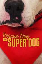 Watch Rescue Dog to Super Dog (US) Viooz