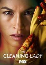 Watch The Cleaning Lady Viooz