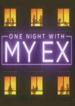 Watch One Night with My Ex Viooz