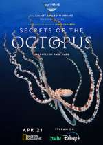 Secrets of the Octopus viooz