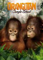 Watch Orangutan Jungle School Viooz