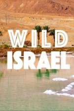 Watch Wild Israel Viooz