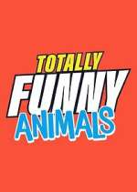 Watch Totally Funny Animals Viooz
