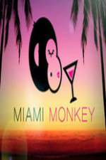 Watch Miami Monkey Viooz