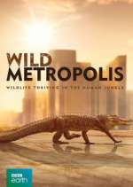 Watch Wild Metropolis Viooz