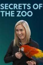 Watch Secrets of the Zoo Viooz