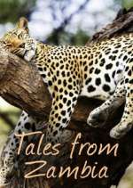 Watch Tales from Zambia Viooz