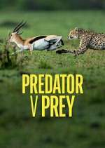 Watch Predator v Prey Viooz