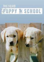 Watch Dog Squad: Puppy School Viooz