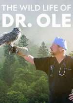 Watch The Wild Life of Dr. Ole Viooz