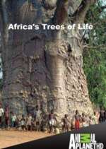 Watch Africa's Trees of Life Viooz