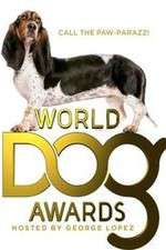 Watch The World Dog Awards Viooz