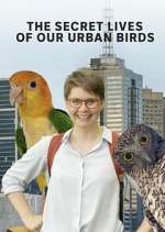 Watch The Secret Lives of Our Urban Birds Viooz