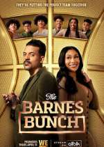 Watch The Barnes Bunch Viooz