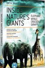Watch Inside Nature's Giants Viooz