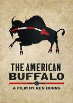 Watch The American Buffalo Viooz